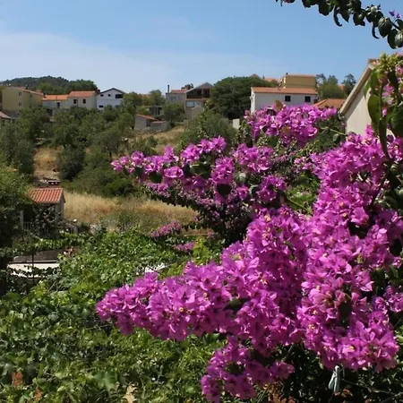 Ralje Apartman Sali